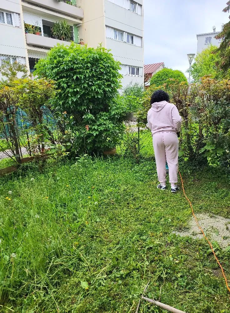 Entretien jardin Meylan